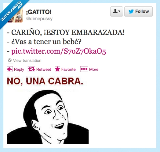 cabra,bebe,embarazada,embarazo