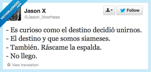 siameses,hermanos,destino,union