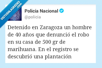 detenido,zaragoza,hombre,tonto,denuncia,robo,marihuana,plantacion
