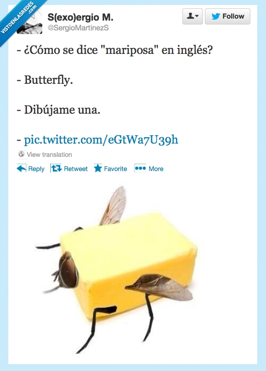inglés,mariposa,butterfly,mantequilla,mosca