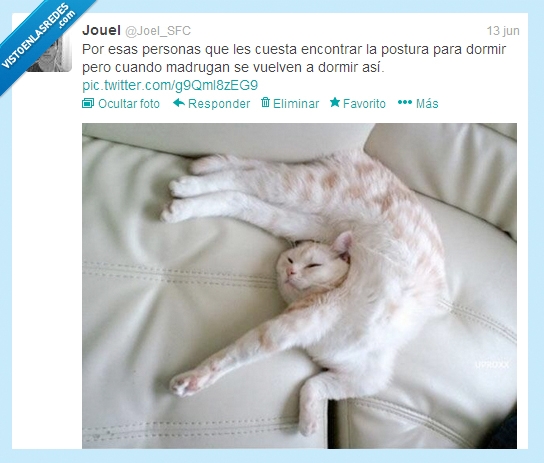 roto,gato,mañana,sueño,postura