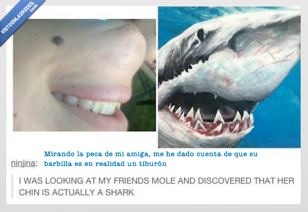 barbilla,peca,amiga,boca,tiburon,reves,gira