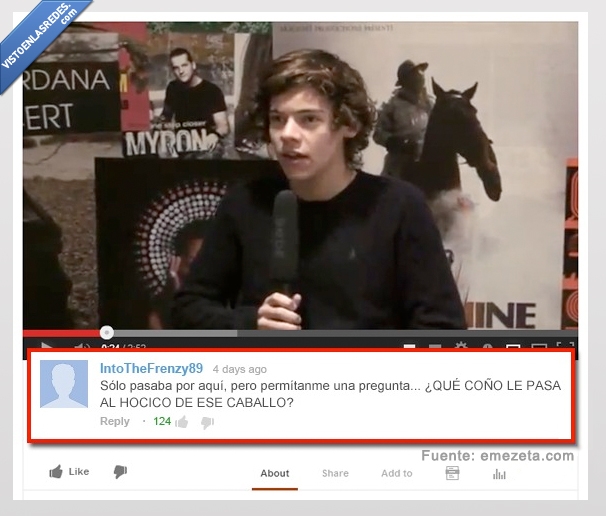 caballo,hocico,one direction,comentario,youtube,morro