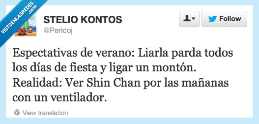 tele,verano,ver,espectativas,shin chan,realidad,liarla