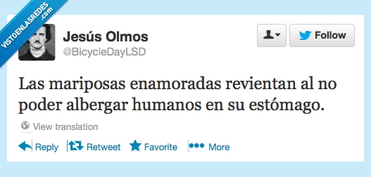 estomago,humano,abergar,persona,mariposa