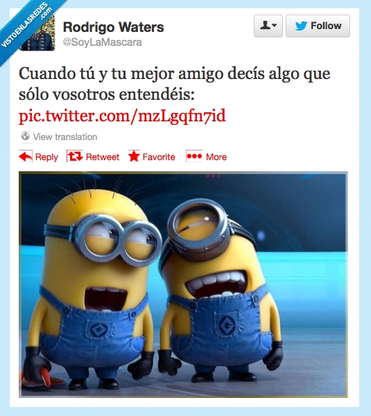 mejores amigos,única,risas,minion,mi villano favorito,mirada