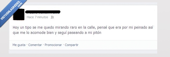 Calle,persona,pitón,pasear,peinar,acomodar,pelo