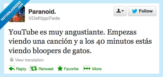 youtube,bloopers,everywhere,gatos,angustiante