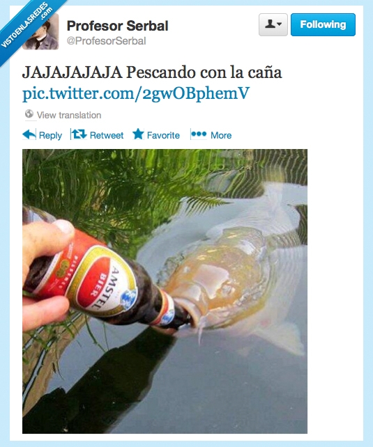 pescando,caña,pesca,pescar,pez,cerveza,botella