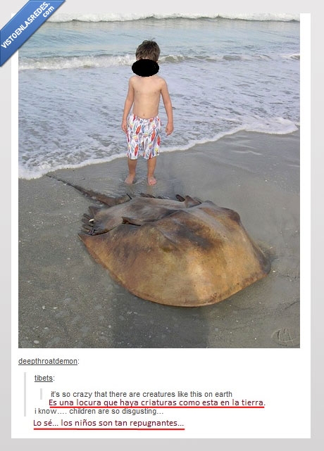 animal,niño,playa,repugnante,tumblr