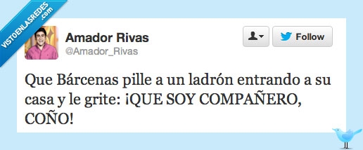 compañero,robar,casa,ladrón,Bárcenas