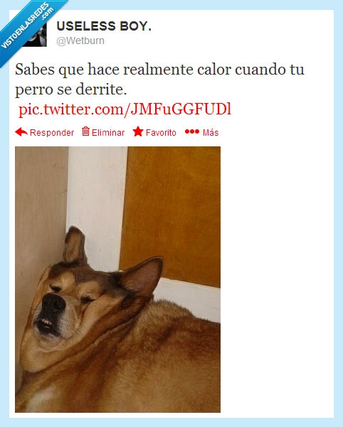 wetburn,calor,perro,derretirse