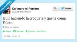 Enlace a @CalimeroPorrero