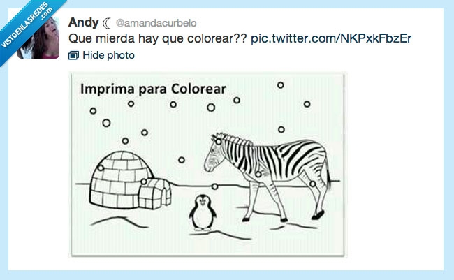 wtf,nieve,zebra,iglú,pingüino