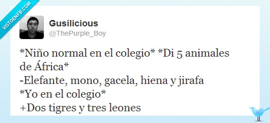 animales,vago,colegio