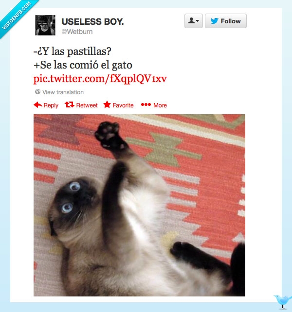 twitter,wetburn,gato,mdma,pastis