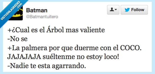 palmera,coco,locos,twitter,batman,valiente,agarrando