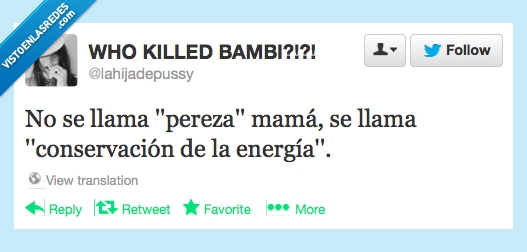 conservacion,energia,mama,pereza