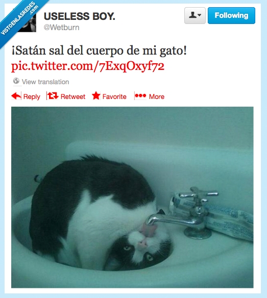 gato,poseido,del mal,wetburn,twitter,grifo