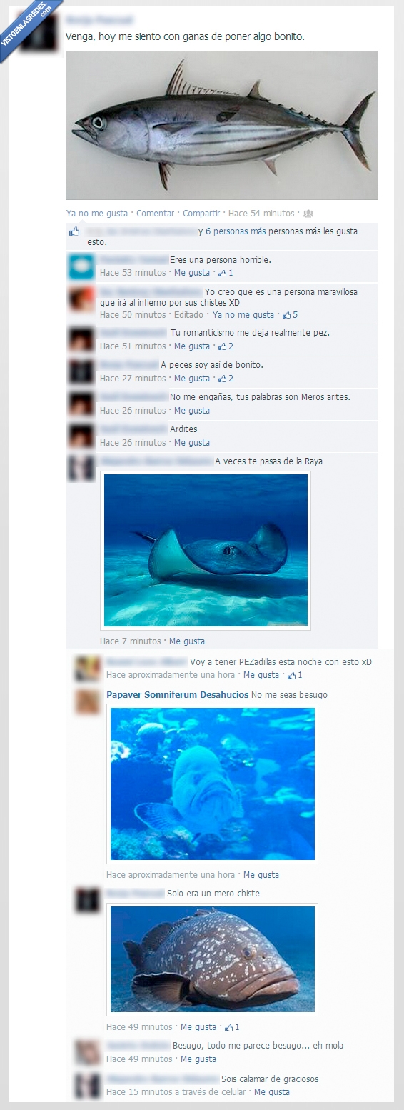 pez,bonito,raya,peces,meros,chistes,malos,chiste,foto,facebook,pezadillas,besugos