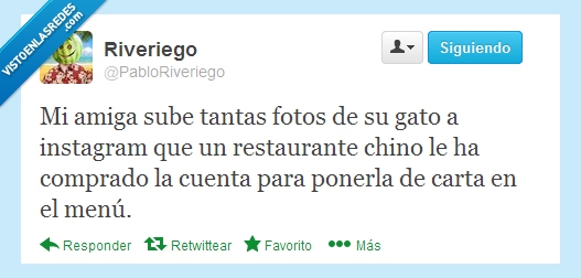 gato,instagram,subir,fotos,comida,china,carta,menú