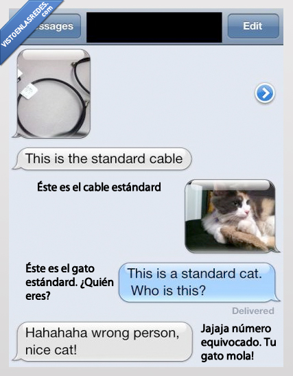 mola,gato,standard,estandar,cable