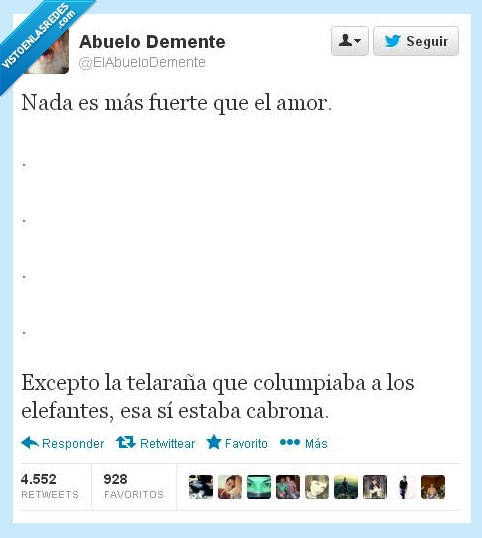 elefante,resistente,telaraña,tela,araña,tweet,twitter