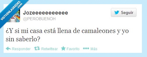 camaleon,invisible,casa,llena,twitter,camuflaje