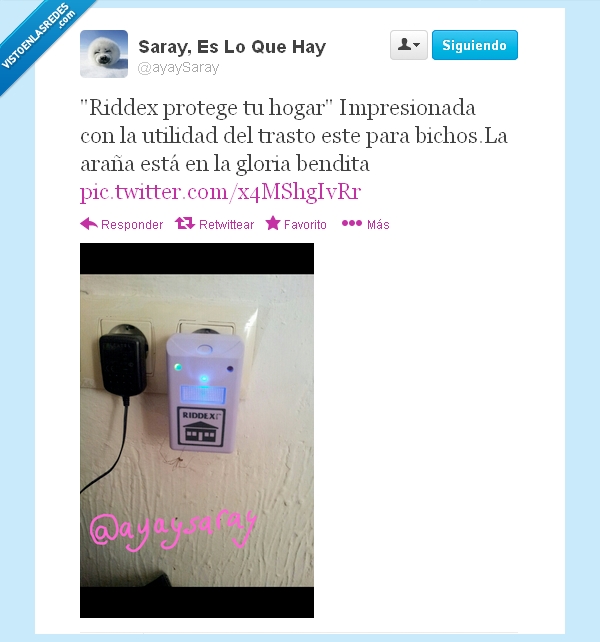 riddex,araña,twitter,trasto,matar,pesticida