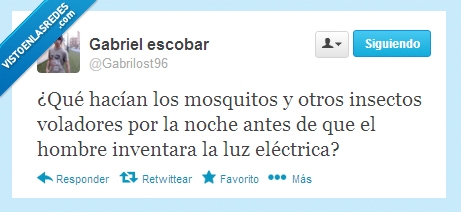 mosquitos,pican,insectos,coleopteros,antes,luz,electrica
