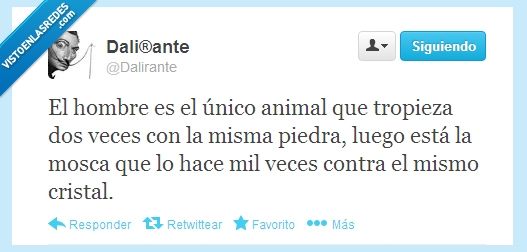 hombre,piedra,moscas,ventana,cristal,dalirante