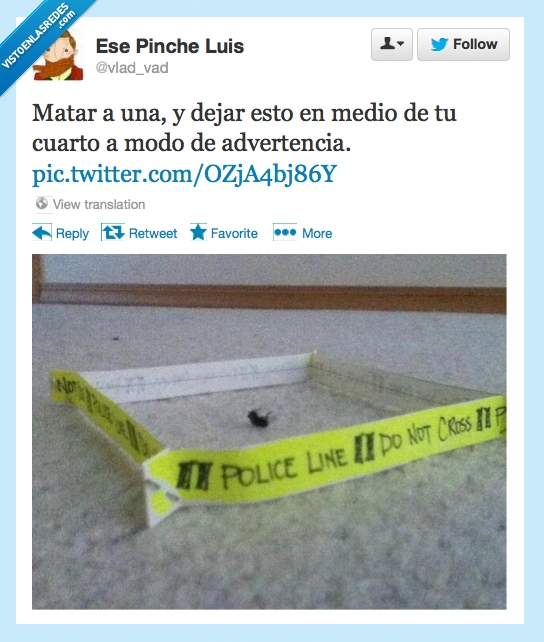 mosca,mosquito,escarmiento,susto,police line,cross,escena del crimen,cadaver