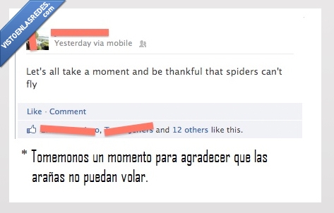 agradecer,gracias,volar,araña