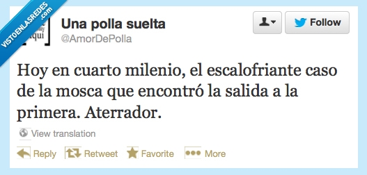 mosca,cuarto,milenio,aterrador,salir,primera,ventana