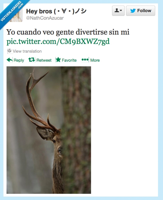 ciervo,aburrido,diversión,mi,sin,amigos