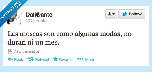 dalirante,vida,durar,modas,moscas