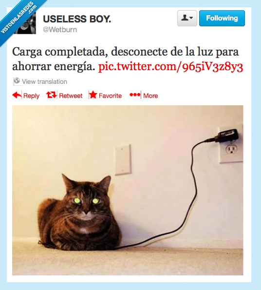 gato,cargar,bateria,wetburn,twitter