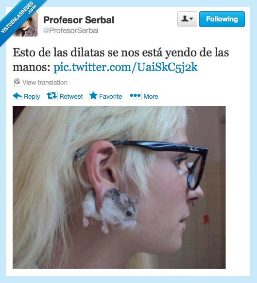 rata,dilataciones,dilatas,pendiente,hamster,agujero,raton