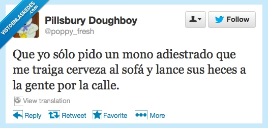 mono,adiestrado,twitter,heces,cerveza