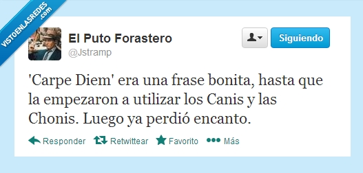 encanto,canis,chonis,frase,Carpe Diem