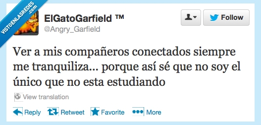 estudiar,conectarse,tranquilizar,suspender