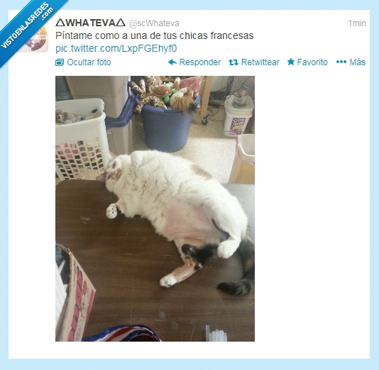 Francesas,Pintar,Gato Gordo,Gordo,Gato,Rose,jack,titanic