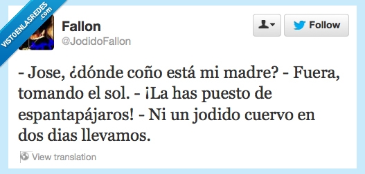 cuervos,madre,espantapajaros,sol,dias