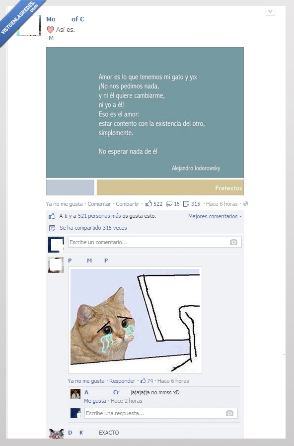 Gatos,Página,Verdad,Dolor,Amor,llorar,meme