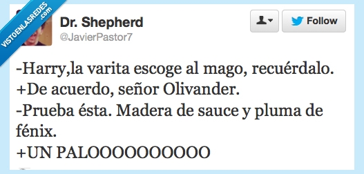 mago,fénix,sauce,Harry Potter,Palo,Varita