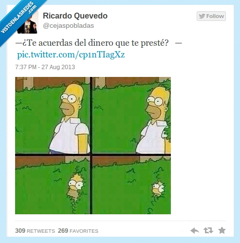 disimular,esconder,arbusto,dinero,deje,homer,seto