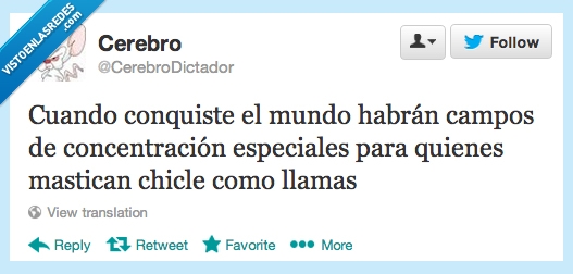 llamas,chicle,concentracion,campos,cerebro,mundo,conquistar