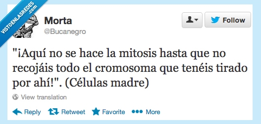 mitosis,célula,madre,cromosoma,recoger