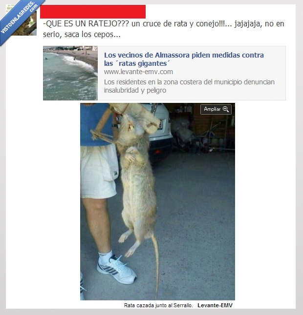 gigante,ratejo,spainisdiferent,rata,miedo