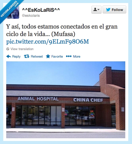 comida china,mufasa,ciclo de la vida,anila